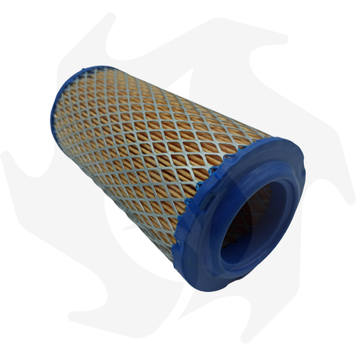 FILTRO ARIA BRIGGS & STRATTON 820263 cod BG 008249 - Imagen 3 de 4