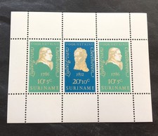 Dutch Suriname 1970 - mint block Michel No. 10