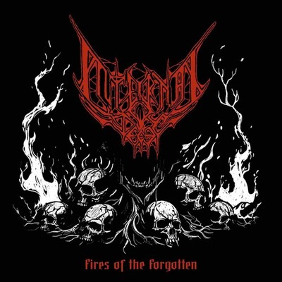 INTERNAL DECAY - Fires of the Forgotten MCD, NEU