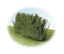 K&M TREES CH700 - SIEPE • HEDGE - 170mm