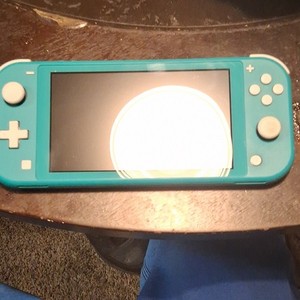 Blue Switch Lite | eBay