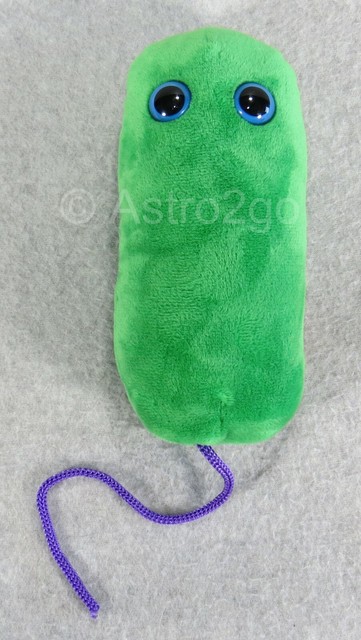 giant microbes legionella