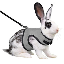 Harness with Leash Set for Rabbits Breathable Pet Vest for Rabbit Ferrets Guinea