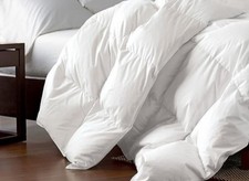Feather Goose Down Comforter, 100 Egyptian Cotton White Size: Twin 68 x 90
