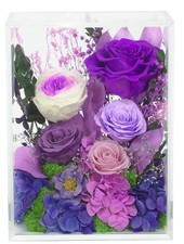 Long-Lasting Real Flowers, Handcrafted Preserved Rose Bush For you to Send Lo...
