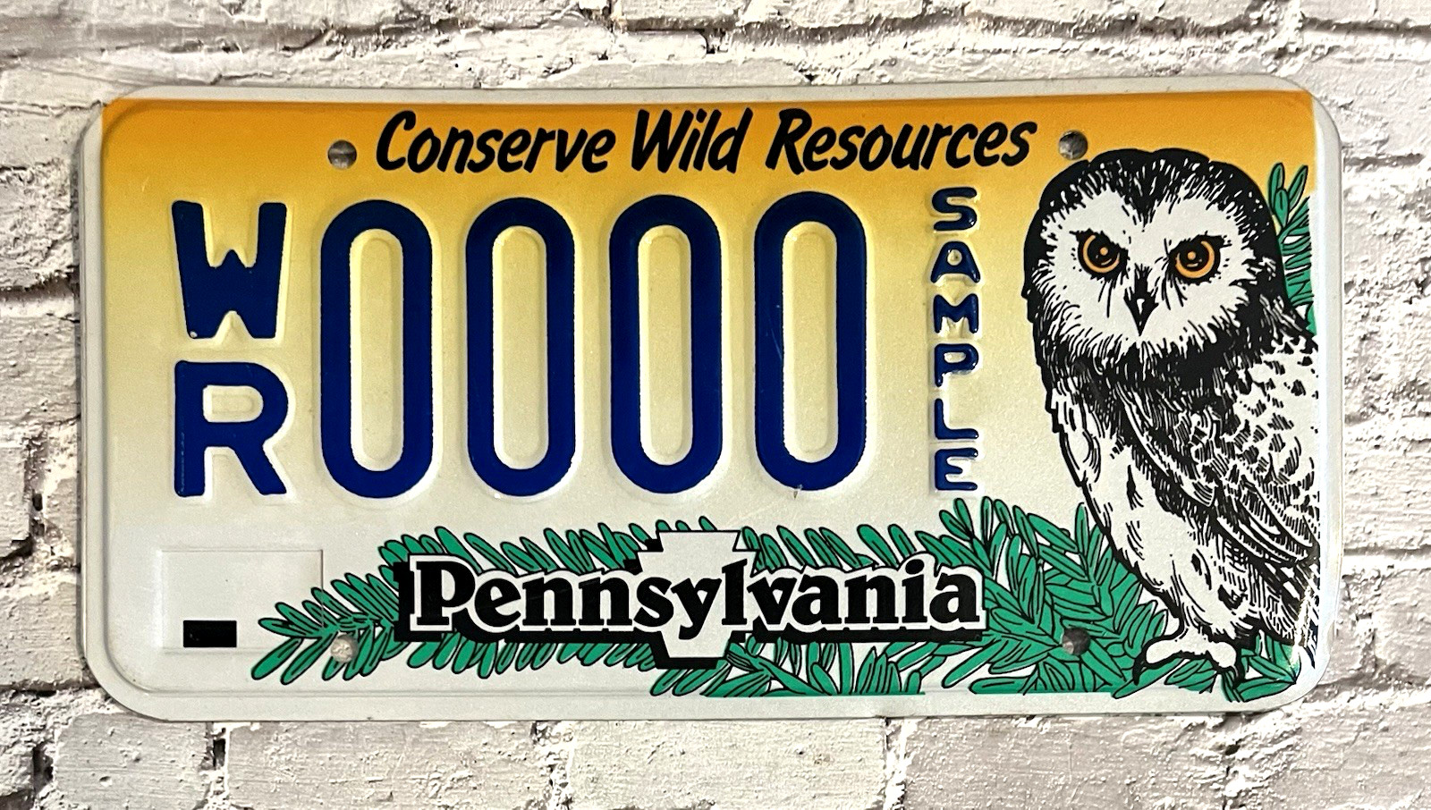 1990s Pennsylvania Conserve Wild Resources Sample License Plate 0000 Owl
