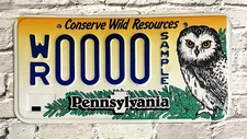 1990s Pennsylvania Conserve Wild Resources Sample License Plate 0000 Owl