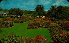 Postcard Allentown Pennsylvania Gross Memorial Rose Garden Chrome Unused