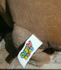 Imagen 5 de 6