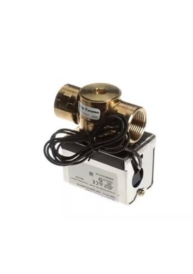 Steamist 007-1161 Drain Valve Motorized 1  NPT (230/240V 50/60HZ) 2-Way.