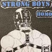 Strong Boys - Homo - Used Vinyl Record 7 - D16460z