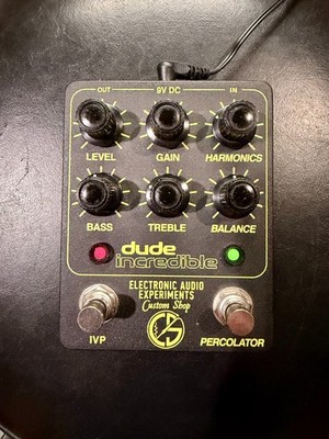 Electronic Audio Experiments Dude Incredible v1.  No. 36