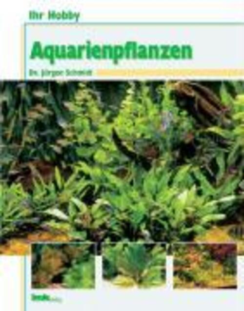 Thumbnail - Ihr Hobby Aquarienpflanzen | Jürgen Schmidt | Deutsch | Buch | 80 S. |