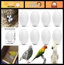 8Pcs Solid Plastic Parrot Eggs - Stop Egg Laying, Ideal for Medium  Large Birds