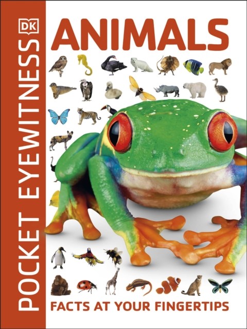 Animals by DK (Paperback Book)