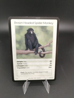 Brown Headed Spider Monkey Life Tcg 2023 - 10/100