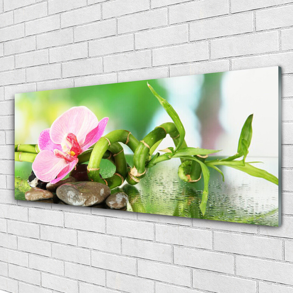 Tableau plexiglas 125x50 résistant à l'humidité pour salle de bain nature