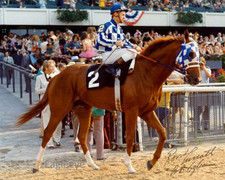 SECRETARIAT Triple Crown LOT of (3) PHOTOS 8x10   Derby / Preakness / Belmont
