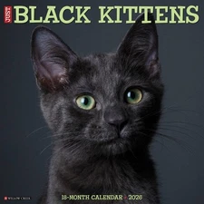 Black Kittens 2026 12" x 12" Wall Calendar (free shipping)