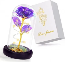 Childom Birthday Gifts for Women,Christmas Rose Purple 