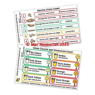 STAR RESOURCES Bristol Stool and Urine Colour Charts ID Badge Card | Paramedic Flashcard