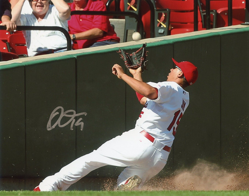 Jon Jay Sliding Catch Autographed Signed 8x10 Photo St. Louis Cardinals - 第 1/1 張圖片