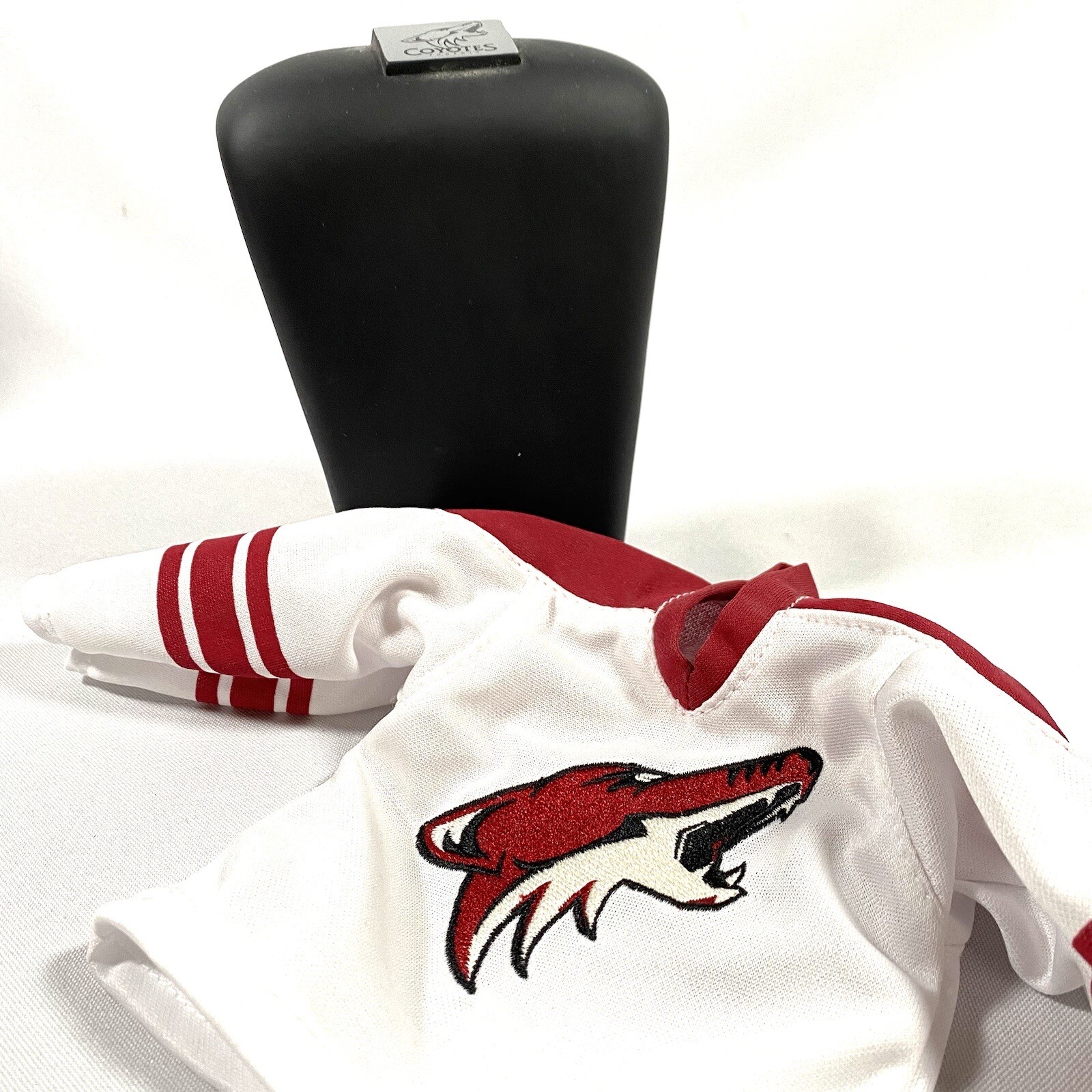 Wayne Gretzky Phoenix Coyotes Mini Hockey Jersey And Stand Sports eBay