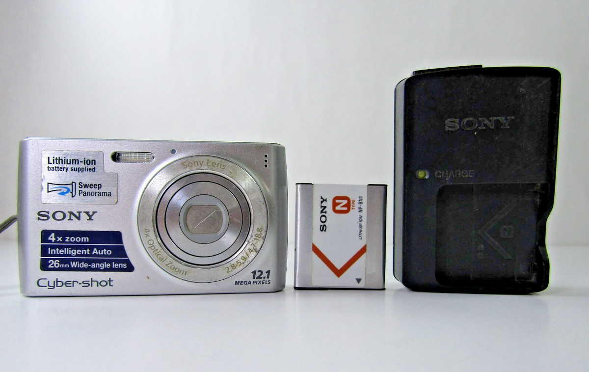 Sony Cyber-shot DSC-W510 12.1MP Digital Camera Silver FLASH NOT