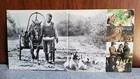 LOT 2 Laserdisc FIDDLER ON ROOF Topol Letterbox~OLIVER Mark Lester Musicals — photo 3