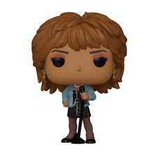 Tina Turner What  s Love Got to Do with It Funko Pop  492  PopShield Protector