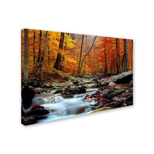 22 in. x 32 in. Ultimate Truth by CATeyes Canvas Wall Art Print - Picture 2 of 3