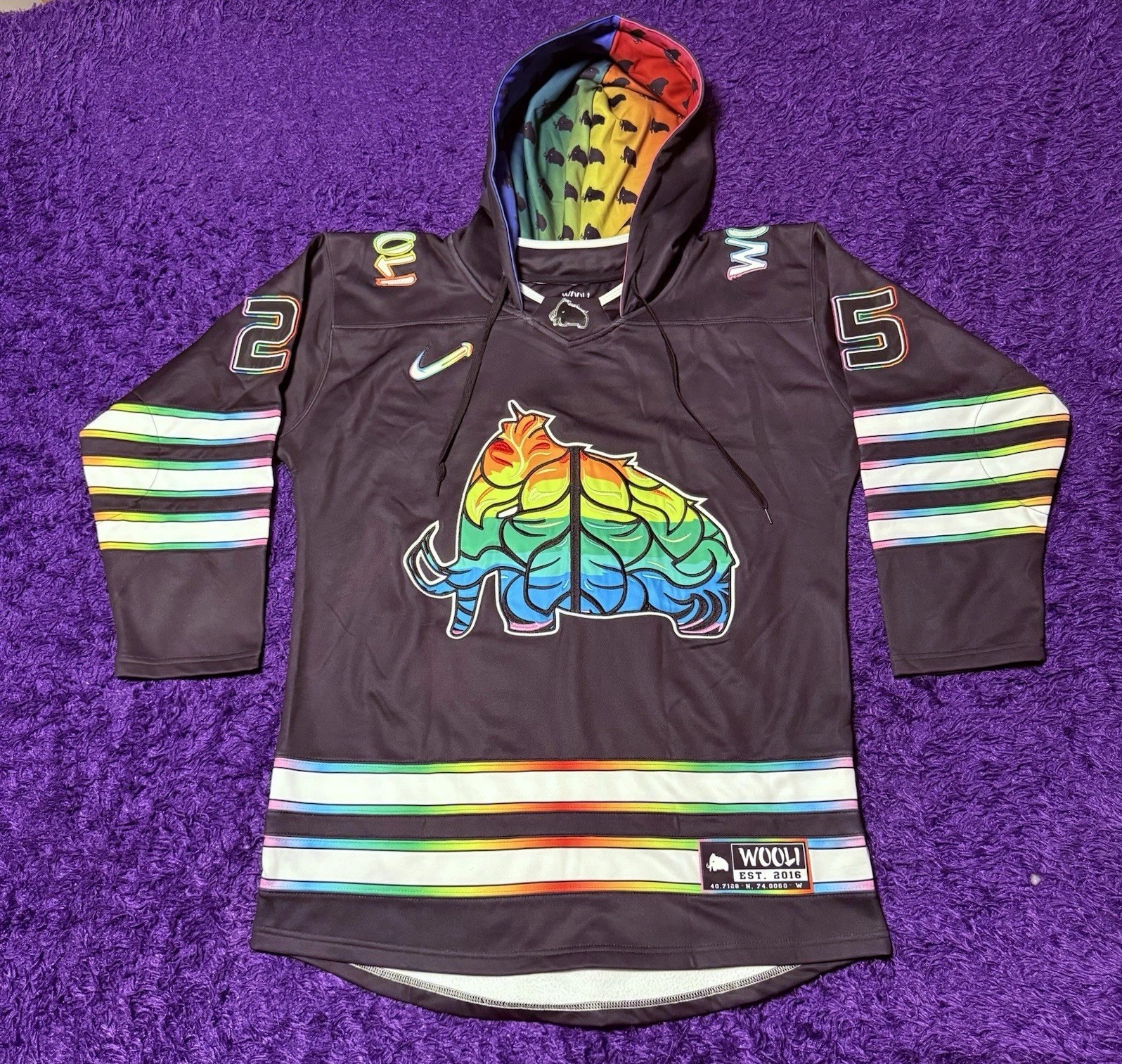 Chroma Rainbow Hockey Jersey 2025 (Hooded)