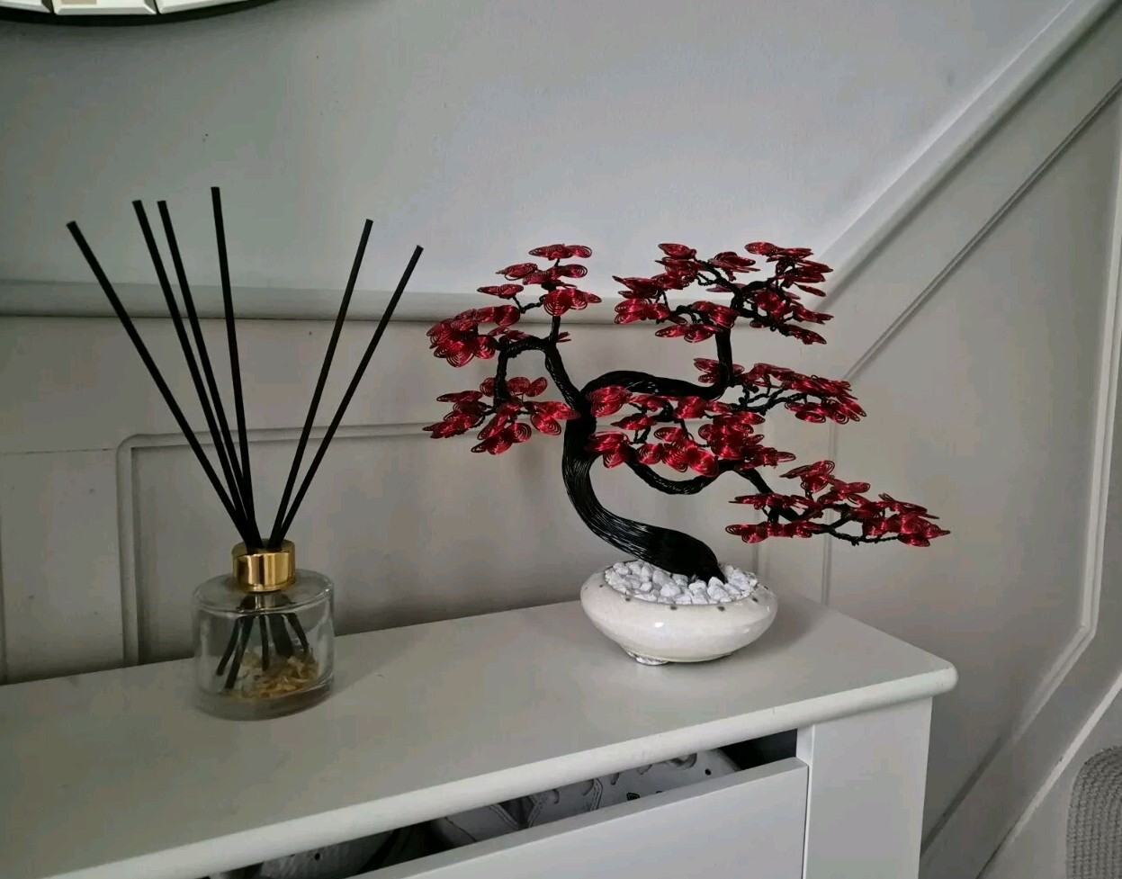 Picture 6 of 11
