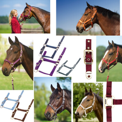 EQUI-THEME Nylonhalfter Halfter extra stark