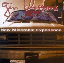 New Miserable Experience - Audio CD By Gin Bl...