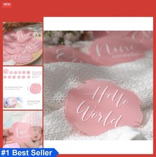 Baby Milestone Cards 13 Piece Acrylic Monthly Discs Pink First Year Photo Props