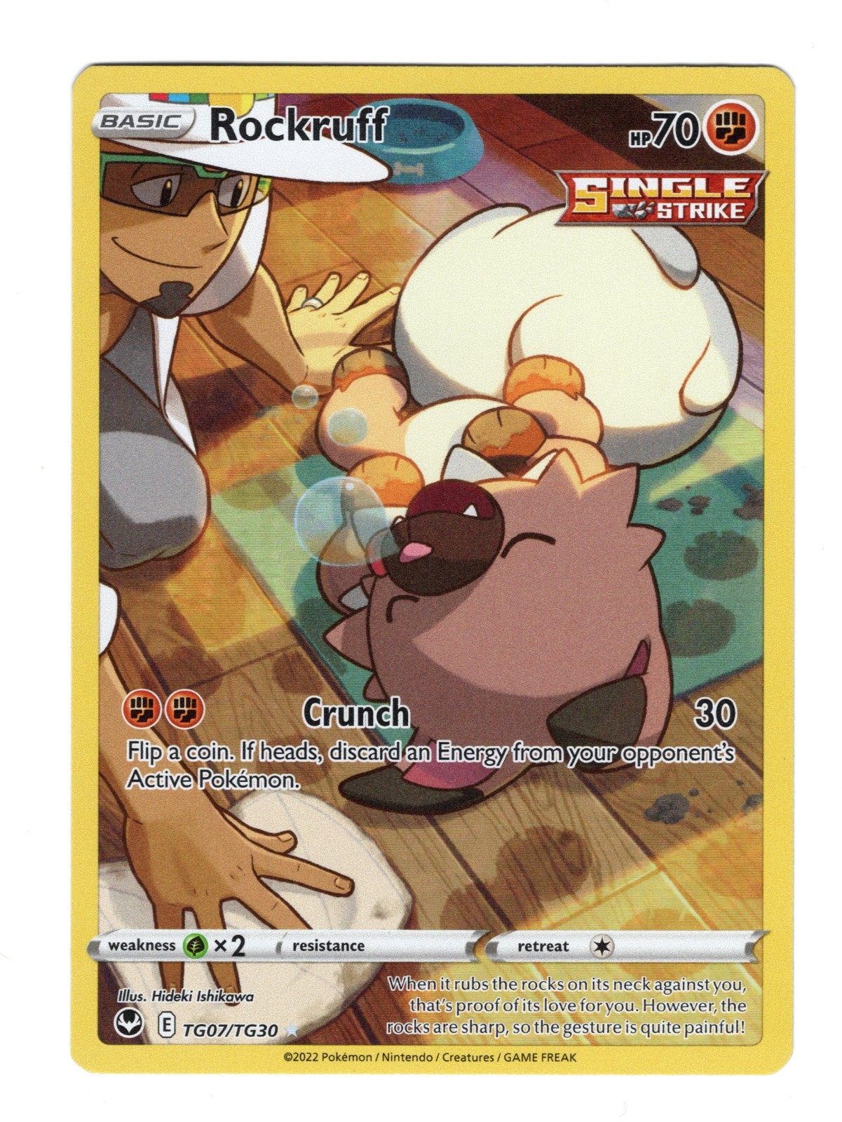 Pokemon : Rockruff : Silver Tempest Trainer Gallery TG07/TG30 Ultra Rare NM