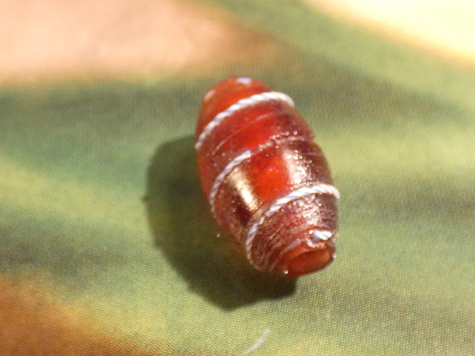 Bild 3 von 5