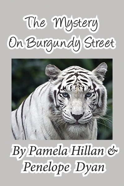 Pamela Hillan (U. A.) | The Mystery On Burgundy Street | Taschenbuch | Englisch-image