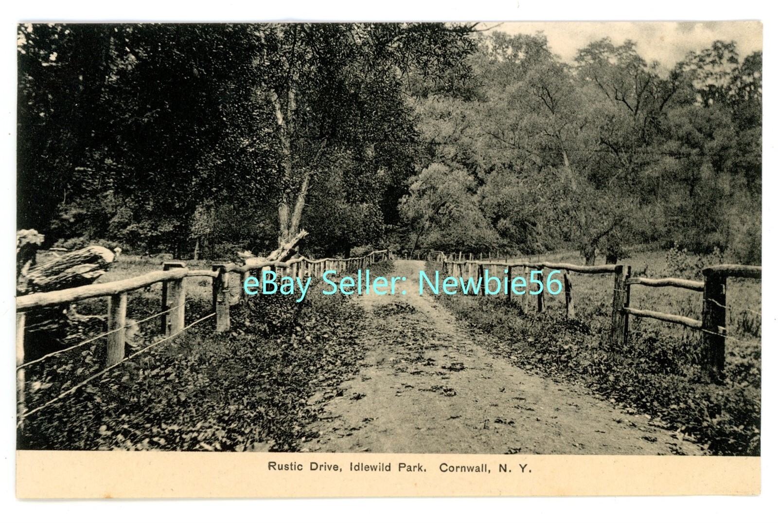 Cornwall NY RUSTIC DRIVE IN IDLEWILD PARK Postcard eBay