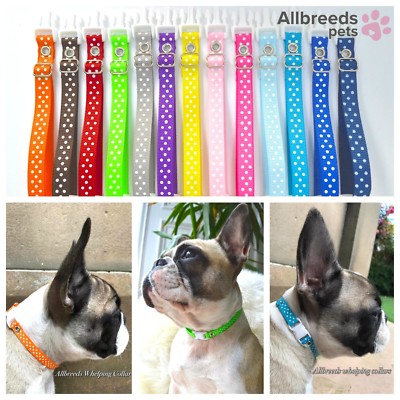 puppy identity collars