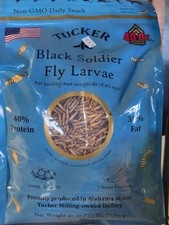 Black Soldier Fly Larvae 2.5 lb Bag High Protein Poultry Reptile Treat Premium