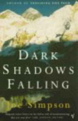 Dark Shadows Fallen Taschenbuch Joe