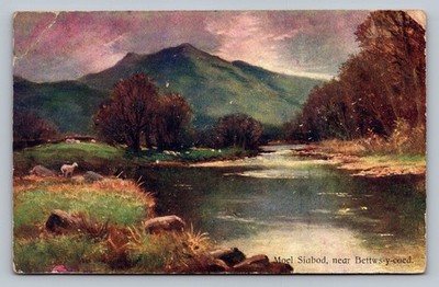 AK - WALES - MODEL SIABOD - BEI BETTWS Y COED - VOR 1918 - UNBESPIELT