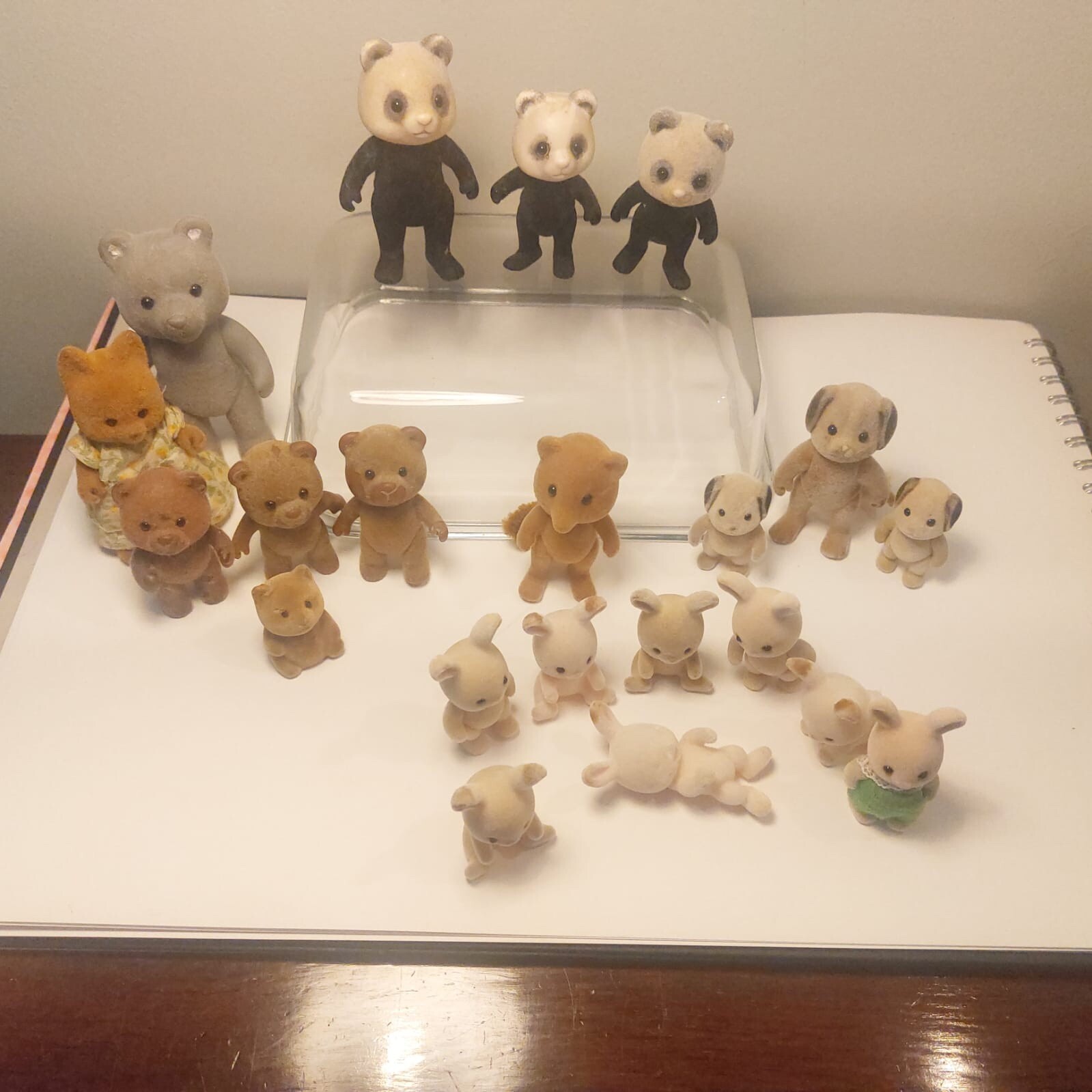 Picture 16 of 20