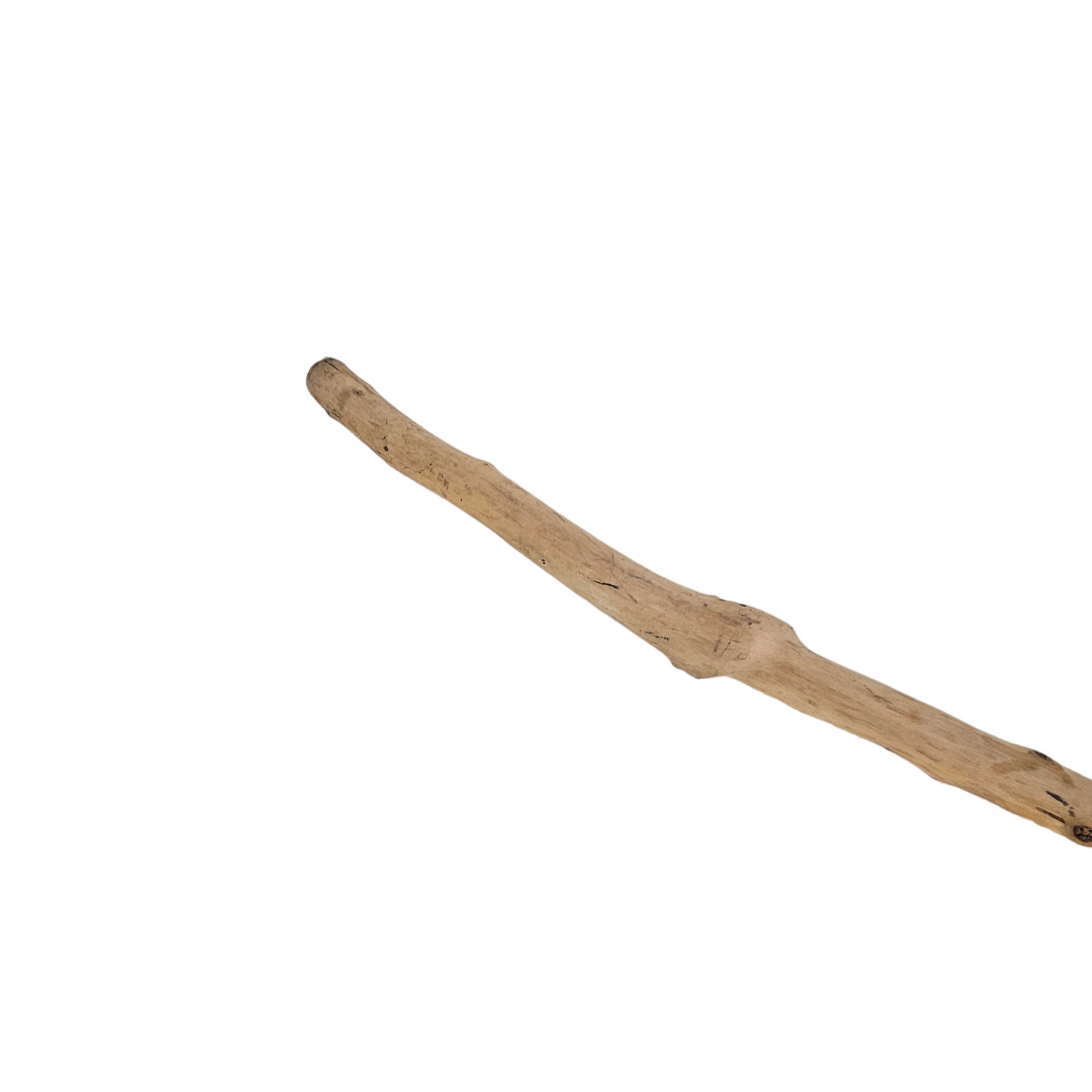 Hand Carved Wizard Walking Stick Dog Wood Hiking Stic… Gem