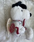 Foto 10 di 12