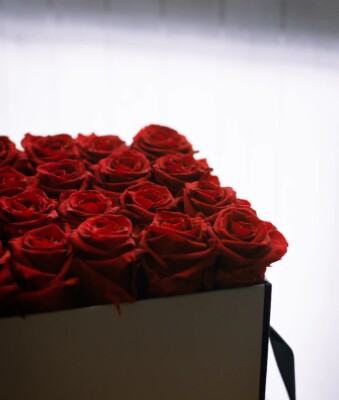 Exklusive Konservierte Rosen in Eleganter Weißer Box   Ein Zeichen Ewiger Liebe