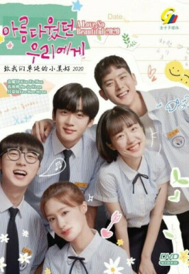 DVD Korean Drama A Love So Beautiful 2020 (VOL1-24END) English Subs All Region
