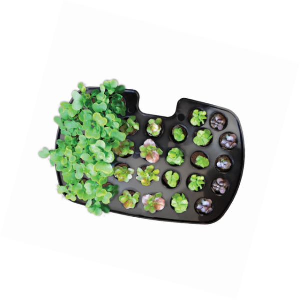 aerogarden-seed-starting-system-for-harvest-models-for-sale-online-ebay